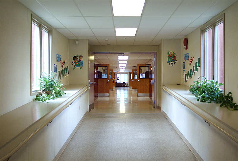 A hallway filled with plants and illuminated by natural light from a window in Pedricktown, NJ